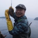 해소수산