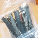 파파 펫 푸드 이미지