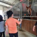 산들래 야영장 이미지