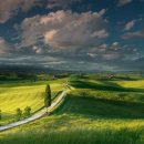 도미네로 이미지