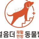 한걸음 동물병원 이미지