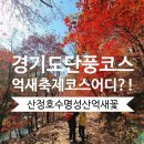 GS25산정호수점 | 포천 명성산 억새축제 으억! 소리나는 등산코스, 주차장, 소요시간, 준비물(ft.경기도 단풍명소)
