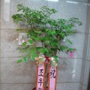 해피당구장 이미지