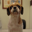 안암지구대 이미지