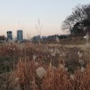 양재천근린공원 이미지