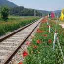 구)양보역 이미지