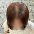 성신파마의집: 성신여대 뿌리염색 후기