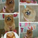 창조유치원 이미지