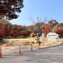 광명도덕산캠핑장 이미지