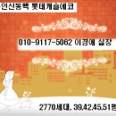 1억3천으로 39평 즉시입주,내집마련 절호의기회!(신동백 롯데캐슬에코 39,42,51) 이미지