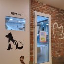 이든펫스파 네이버블로그