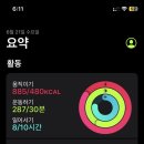 아루아 이미지