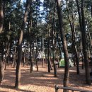 장사솔밭펜션 이미지