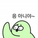 마니올 이미지