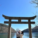 대마도 부산 니나호타고 1박2일 자유여행(유유렌트카, Hekireki Shrine, 패밀리파크, 티아라몰 토미카)