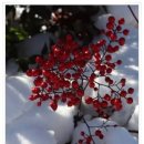 행복인형뽑기 이미지