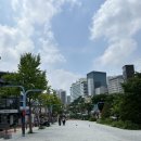 홍대 직장인 가성비 점심 추천 8,500 일식 돈카츠 &lt;카츠업 홍대점&gt;