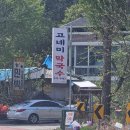 고네미막국수 | 횡성 막국수가 맛있기로 유명한 고네미 막국수 방문 후기