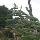 정원식당 앞 이미지