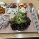 The 좋은밥상 이미지