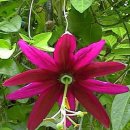 반포삼정공인중개사사무소 이미지