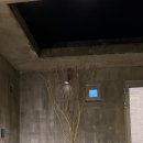 제주애단비 마주 이미지