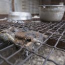 김성광 농장 이미지