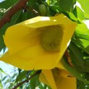 은이농장 이미지