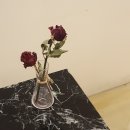 카페욜로 이미지