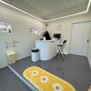 늘봄반려견유치원 이미지