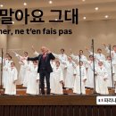 [ 걱정말아요 그대 ] 🇫🇷파리나무십자가소년합창단 Les Petits Chanteurs à la Croix de Bois (PCC 이미지