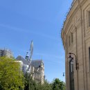 한마을약국 | 🇫🇷 5월의 파리 여행 ❸ (마레지구 쇼핑, 슈프림, 메르시, ofr파리, 오베르 마마 트러플 파스타)