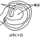 종자산업기사 필답 19-03 이미지