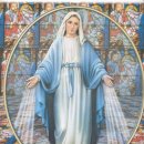 마리아A+ 이미지