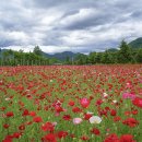 X-게임장 이미지