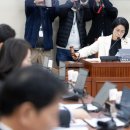 시시각각