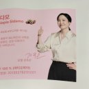 시다모 - 양양군 | 시다모