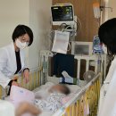 도토리하우스 - 고양시 일산서구 대산로211번길 25 | 도토리하우스