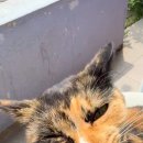 올인원게스트하우스 이미지