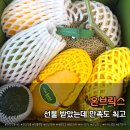 과일톡 | 카카오톡 선물하기 과일선물세트 후기｜과일 편식 있던 아이도 잘 먹었어요