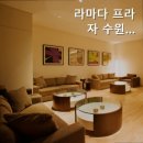 웰빙프라자 이미지