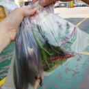 신화주유소 이미지