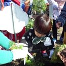 열린농장 이미지