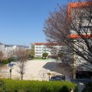 민안초등 이미지