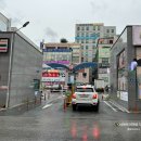 인셀덤샤인 이미지
