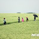 농업회사법인제주오라(유)