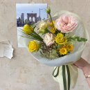 아미플레르 이미지