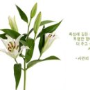 김동진정신건강의학과의원 이미지