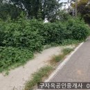 선원면사무소 이미지