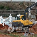 김재선농장 이미지